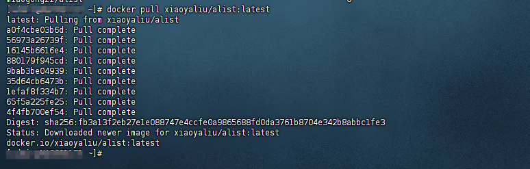 图片[5]-威联通nas docker拉取镜像失败解决办法之clash本地代理-我的日志